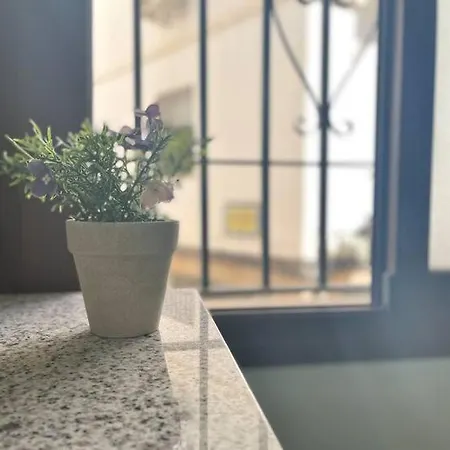 Esencia Historica En Mezquita Apartment Córdoba