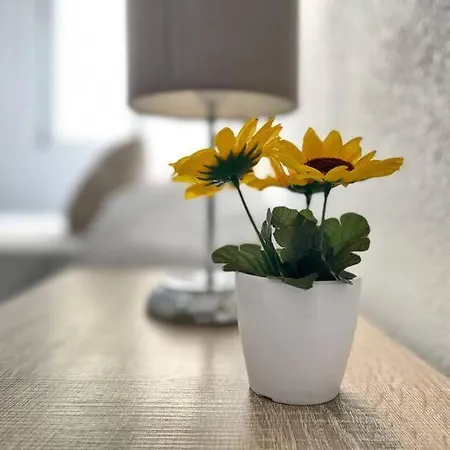 Apartment Esencia Historica En Mezquita *